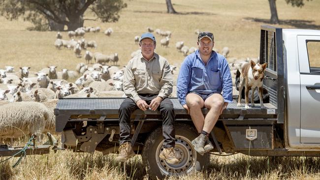 Scott and Daniel have worked on infrastructure and pasture improvements over the past decade, converting blue gum plantation land back to productive grazing paddocks. Picture: Zoe Phillips