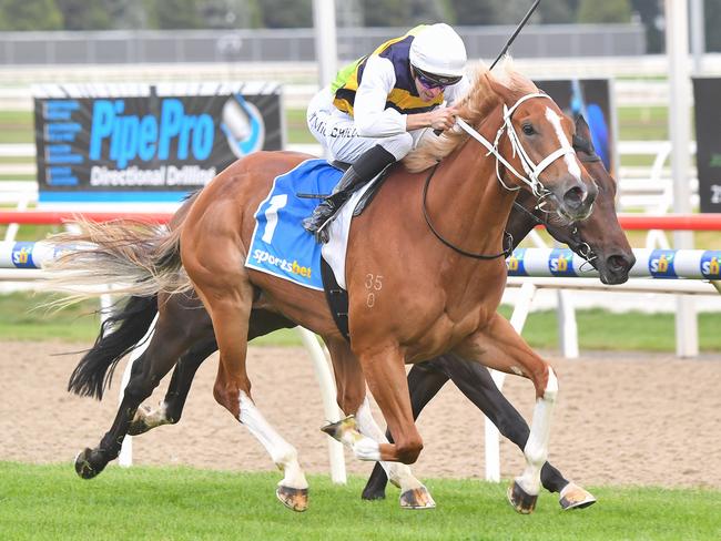 Don Rubio could post another win for the Chris Waller camp in the last race of Monday's Mornington meeting. Picture: Racing Photos via Getty Images.