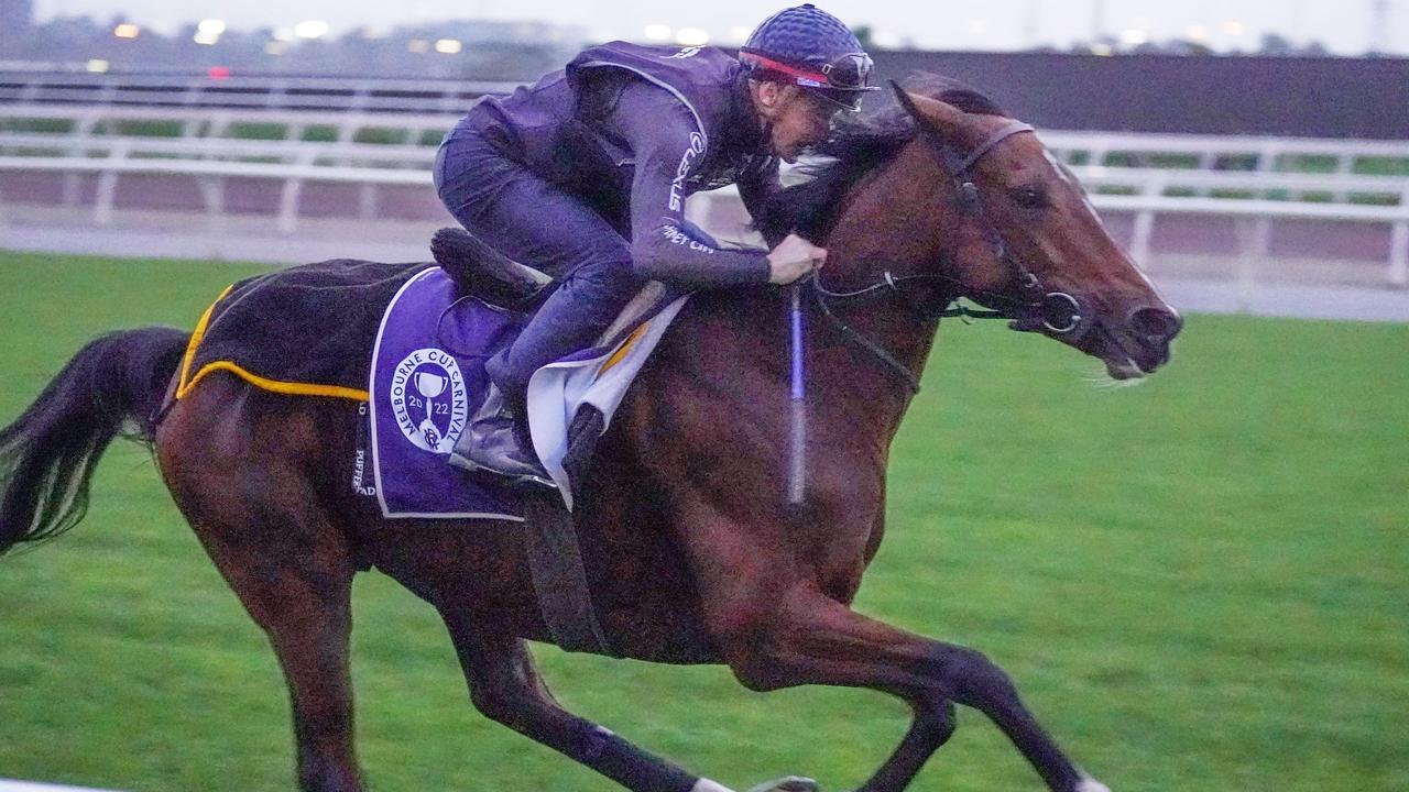 Flemington Trackwork