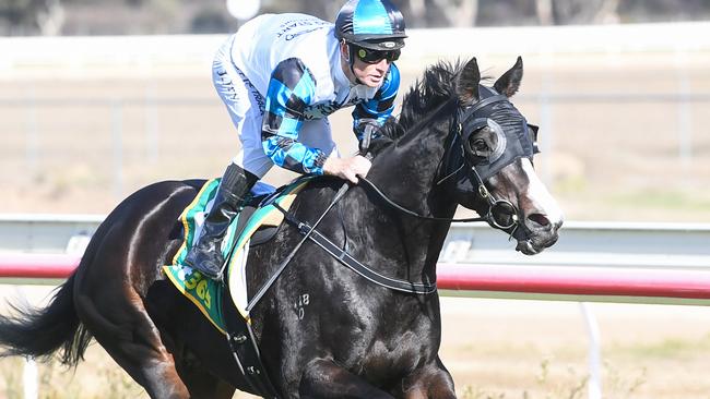 Born To Shine could give her rivals something to chase in the last race of Tuesday's Ararat meeting. Picture: Racing Photos