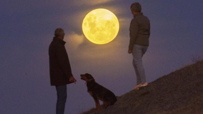 Peter and Maree Baker, with Wags the dog, watch the full moon rise over their farm in Baringhup in central Victoria. Picture: Rob Leeson