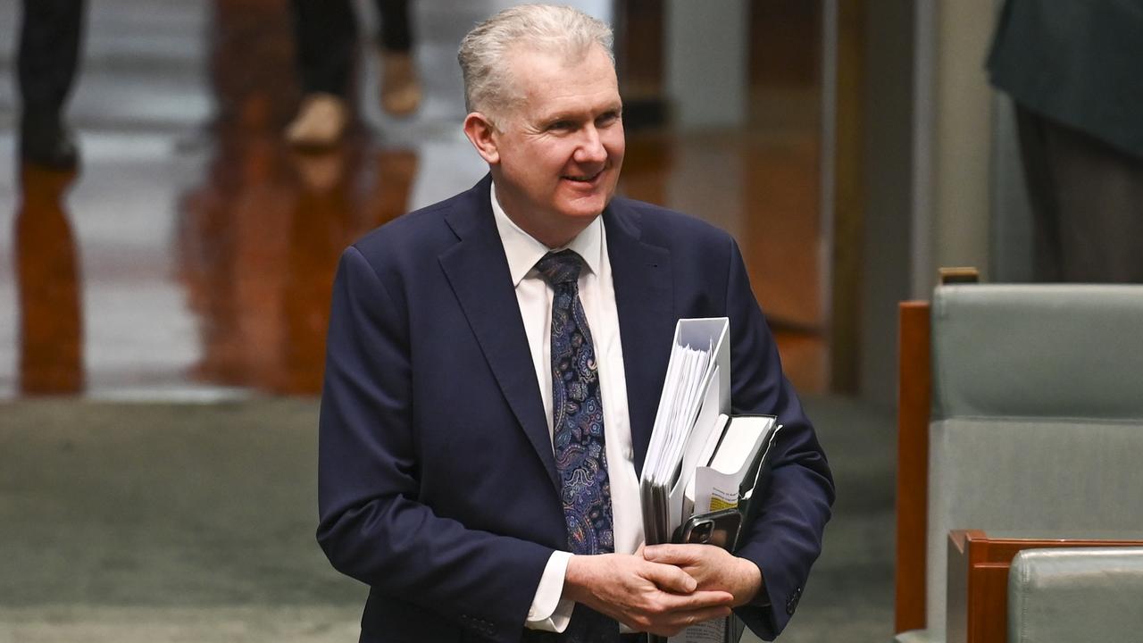 Arts Minister Tony Burke said he wished festivals like Bluesfest could continue ‘forever’. Picture: NewsWire / Martin Ollman