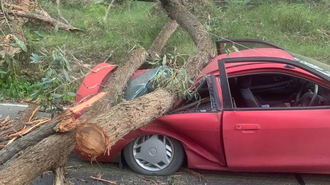 Fallen trees have damaged vehicles in Cambridge Road, Montrose during wild weather in Melbourne. Picture: Chris Homutowsky