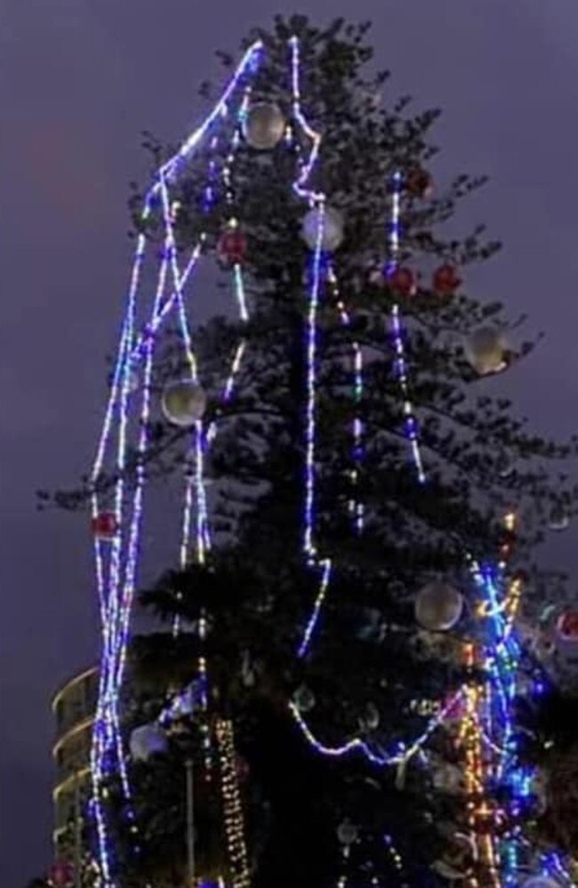 Dave Wilson took this photo of the tree before the decorations were removed on Wednesday morning.