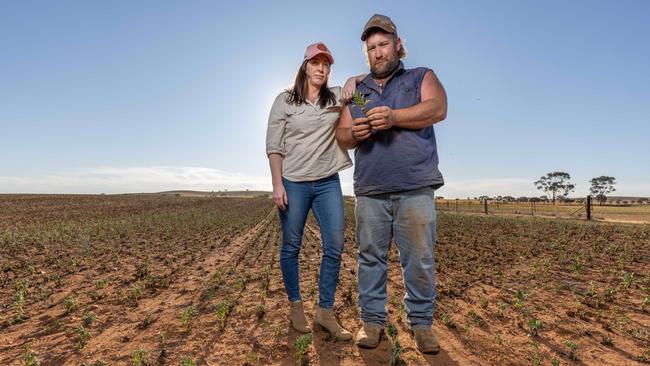 Ben and Jen Richie on their Appila farm. Picture: Ben Clark