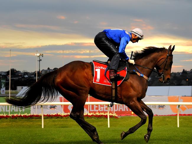 Winx at Moonee Valley for a track gallop.  Strapper Umut Odemislioglu.  Trainer Chris Waller and Jockey Hugh Bowman.  Cox Plate Day runners have a run around The Valley before Saturday.  Picture: Nicole Garmston