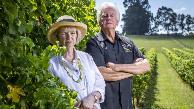 Wild Dog Winery owners Gary Surman and wife Judy have been ordered to pay back $25,000 of $30,000 in government grants they received from the state government during the pandemic. Picture: Jake Nowakowski.