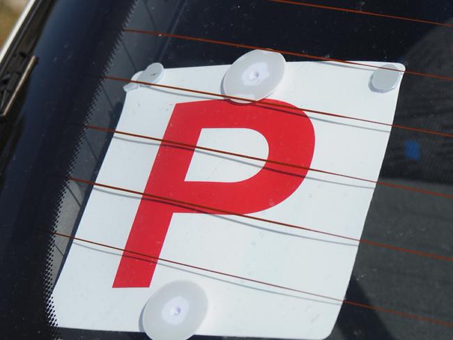 P plate in rear windowPhoto: Alistair Brightman / Fraser Coast Chronicle