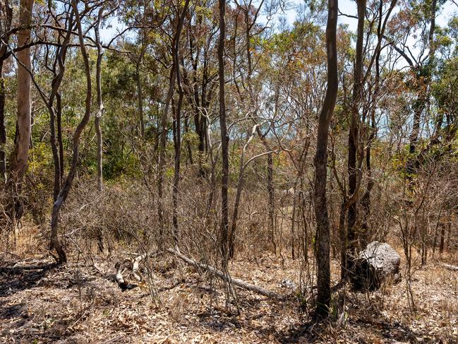 Fraser Coast Regional Council is ramping up efforts to combat illegal vegetation damage on Council land with a revised policy that includes drone mapping, CCTV monitoring, community education and increased replanting.