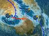 ‘Heaviest rain in 10 years’ set to hit