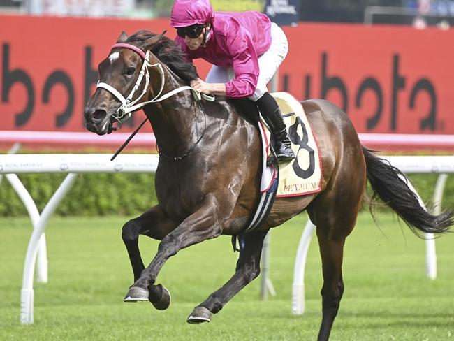 APOLLO STAKES Race 7 - Royal Randwick, 17/02/2024, Winner - Fangirl, Jockey - James McDonald