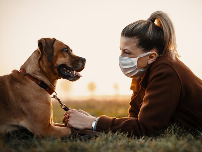 A dog owner wears a protective mask while taking her pet for a walk.