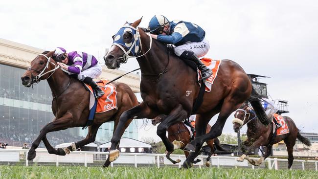 Sunsets (right) fights off short favourite Riff Rocket to win the Caulfield Classic on Saturday. Picture: George Sal/Racing Photos via Getty Images