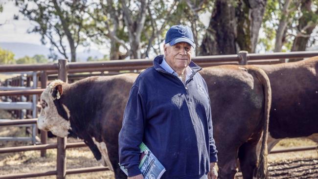 Antony Baillieu of Yarram Park pictured during the female dispersal sale. Picture: Nicole Cleary