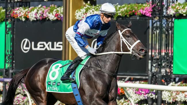 Atishu makes her the way to the barriers prior to the running of the Australian Cup at Flemington on March 30. Picture: George Sal / Racing Photos