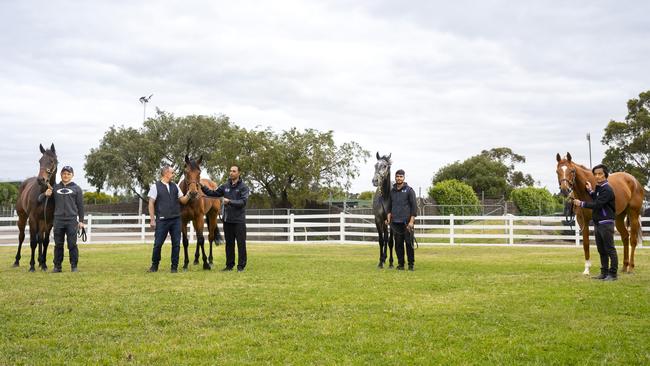 Trainer Chris Waller with his four entries in the 2024 Melbourne Cup: Kovalika, Buckaroo, Valiant King and Land Legend. Picture: Bronwen Healy Photography.