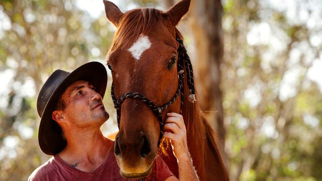 Prison racehorse rehabilitation program puts crooks on track | Daily ...