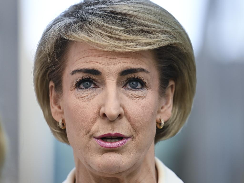 Senator Michaelia Cash has blasted Prime Minister Anthony Albanese. Picture: NCA NewsWire / Martin Ollman