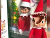 Dog eats face off Elf - now there's a bigger problem