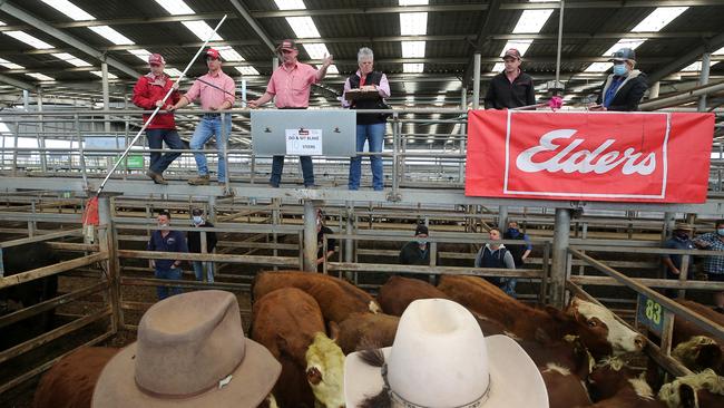 Finished cattle prices were also booming.