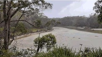 Wowly Creek, Callala Bay.