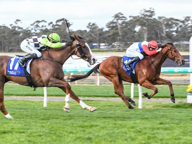 Awapuni Princess ridden by Wiremu Pinn wins the The Big Screen Company BM64 Handicap at Bendigo Racecourse on August 10, 2023 in Bendigo, Australia. (Photo by Brett Holburt/Racing Photos)