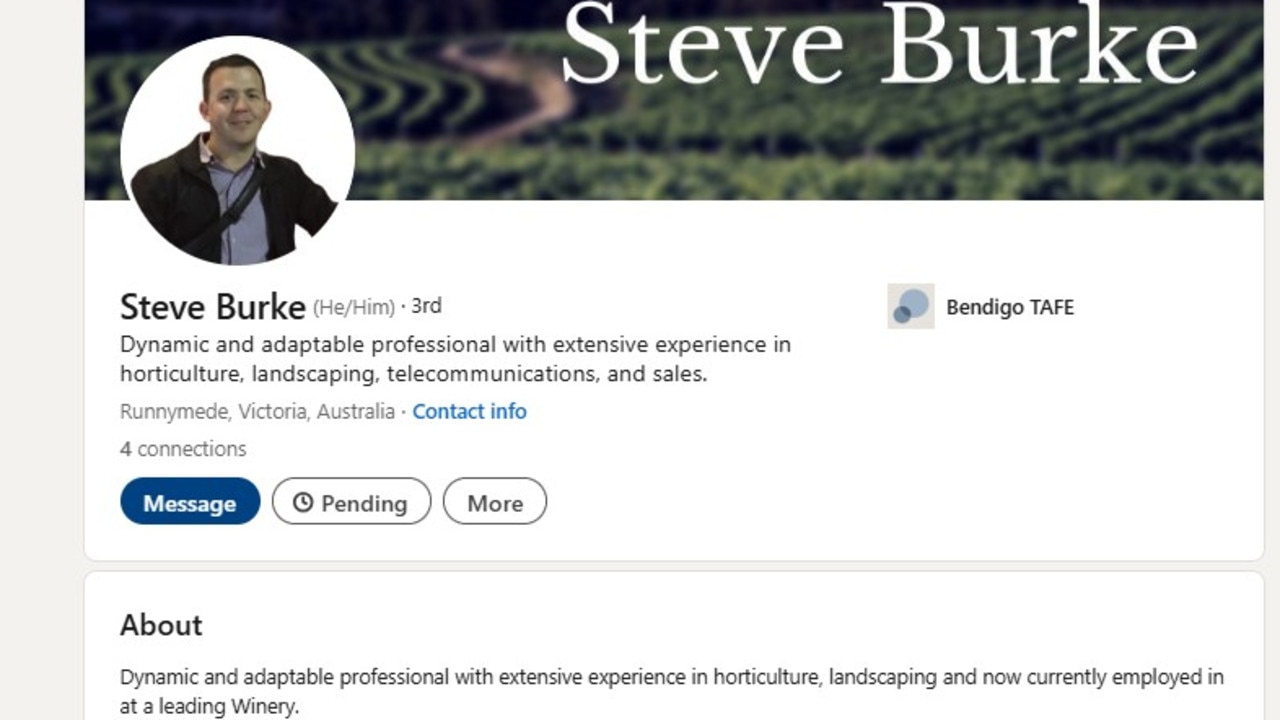 Steve Burke's LinkedIn profile. Picture: LinkedIn