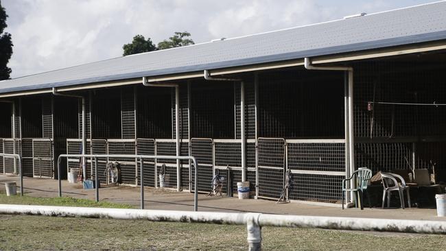 Melbourne Storm fullback Billy Slater worked horses for Innisfail trainer Greg Strickland as his first job. PICTURE: MATT NICHOLLS.