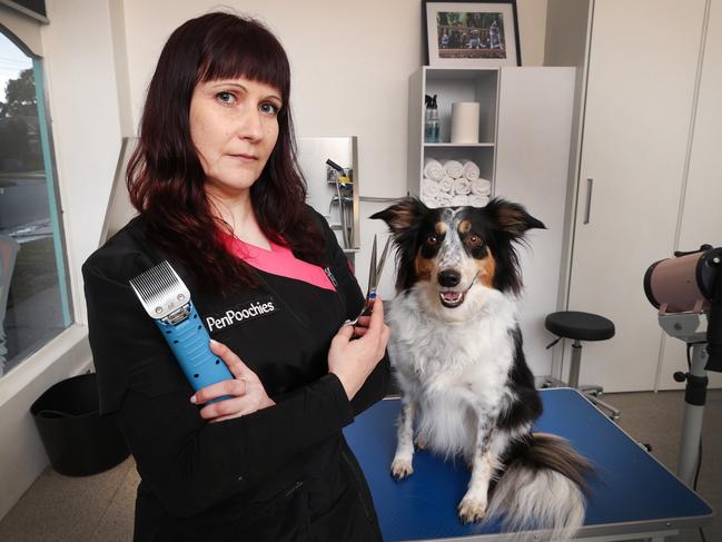 Dog groomer Penella Etyngold is pleading for the State Government to reconsider opening dog grooming salons. She is not happy about the continued lockdown. Penella with her dog Milly in the grooming salon. Picture: David Caird