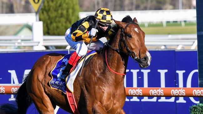 Behemoth won the Memsie Stakes last year with Craig Williams. Picture: Racing Photos via Getty Images