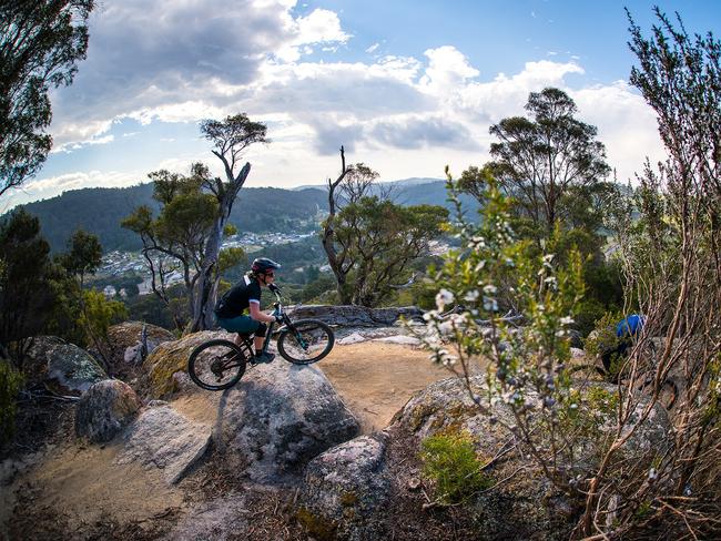 Mountain bikers on the Blue Derby trails in Derby, Tasmania. Picture: KANE NAARAAT/PINKBIKE