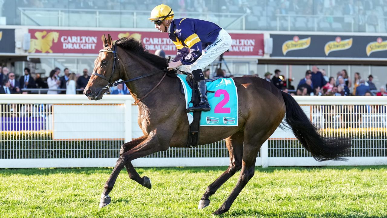 Last year’s Melbourne Cup runner-up Emissary will be ridden by Jye McNeil in the 2023 Caulfield Cup. Picture: Getty Images.