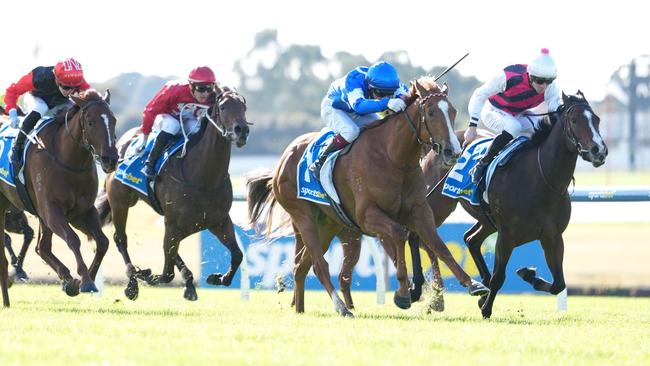 Miss Ole, ridden by Ben Melham (blue and white silks), wins at Sandown Hillside on Saturday. Picture: Scott Barbour / Racing Photos