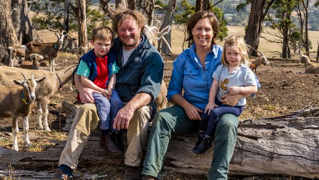 Iain and Kate Field, with children Zoe and Hamish. Picture: Phillip Biggs