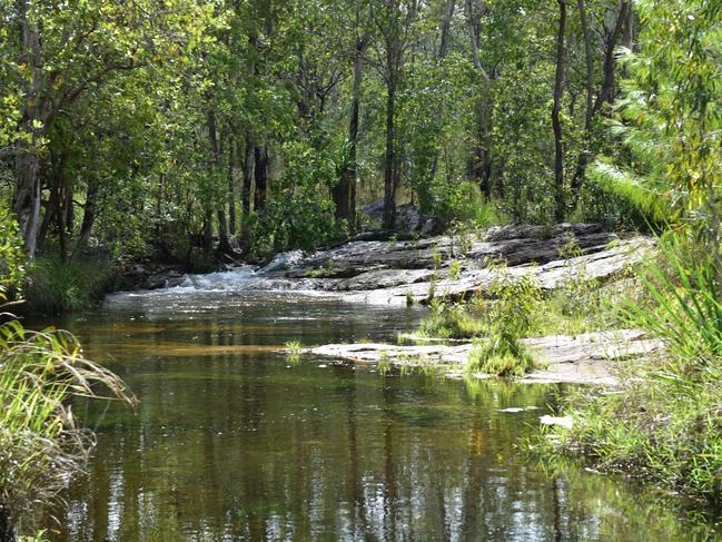 One of the new swimming spots in Litchfield's $17.5 Central Valley development. Picture: Will Zwar