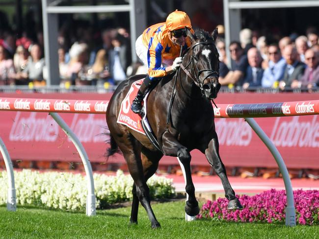 Imperatriz ridden by Opie Bosson wins the Ladbrokes Manikato Stakes at Moonee Valley Racecourse on October 28, 2023 in Moonee Ponds, Australia. (Photo by Brett Holburt/Racing Photos via Getty Images)