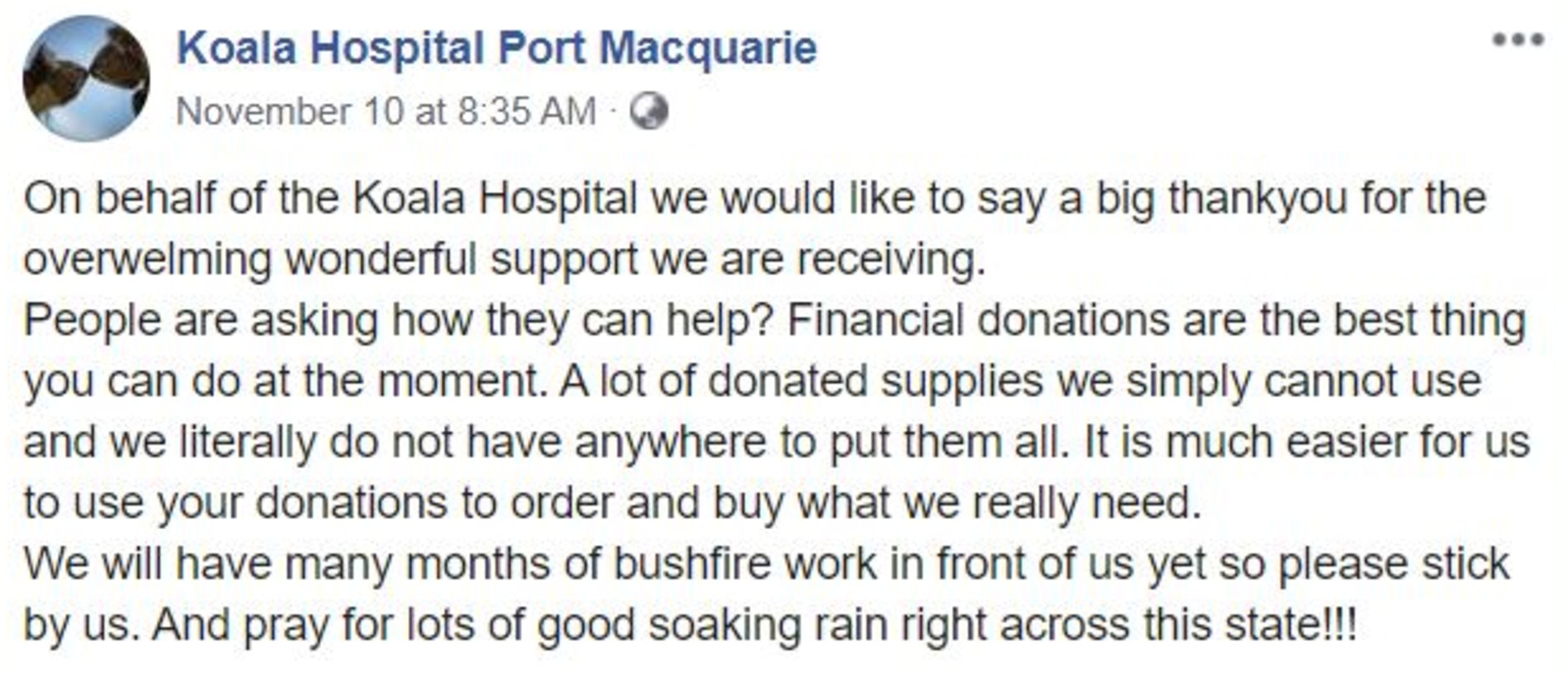 An update earlier this month. Picture: Facebook/Koala Hospital Port Macquarie