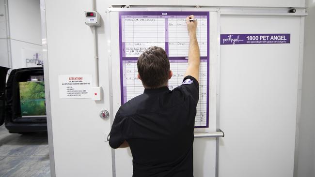 Pet Angel Manager Scott Gunnell writes a pet’s name on the door of the mortuary. Picture: NIGEL HALLETT