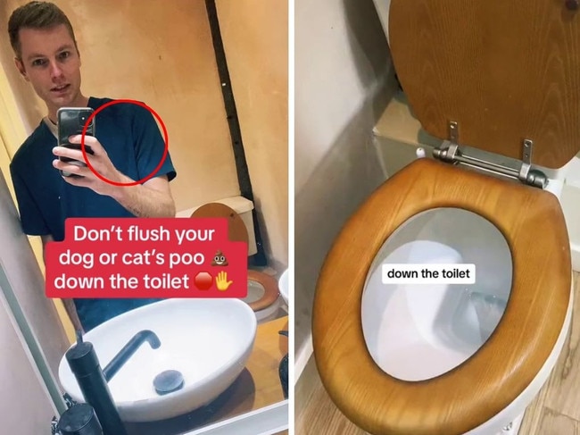 Veterinary surgeon explains risks of flushing cat or dog poop down the toilet. Pictures: Instagram