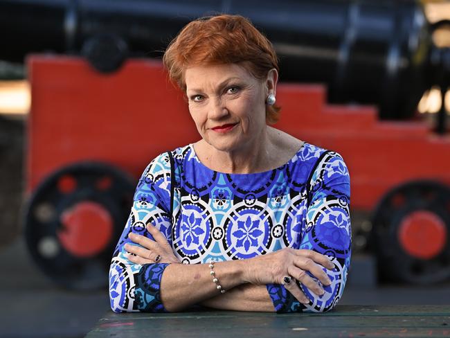 One Nation leader Pauline Hanson