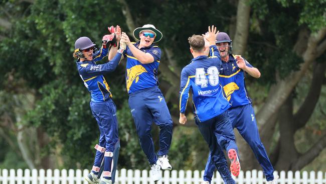 Gold Coast Dolphins players celebrate the brilliant catch taken by Max Bryant. Picture Lachie Millard