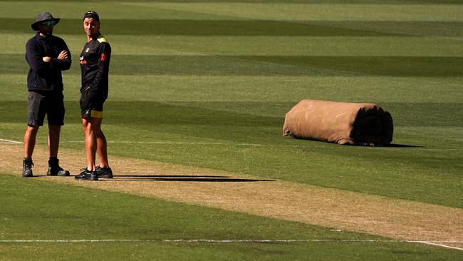 A curator talks to Marcus Stoinis after the abandonment of the Shield match. Picture: AAP/Sean Garnsworthy