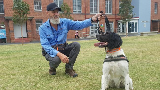 Handler Craig Faulkner with yellow crazy ant detection dog Jet at the Quad in Lismore. Photo: Liana Turner