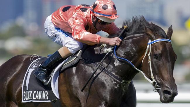 Winx v Black Caviar: Who would win a race between the two champions ...