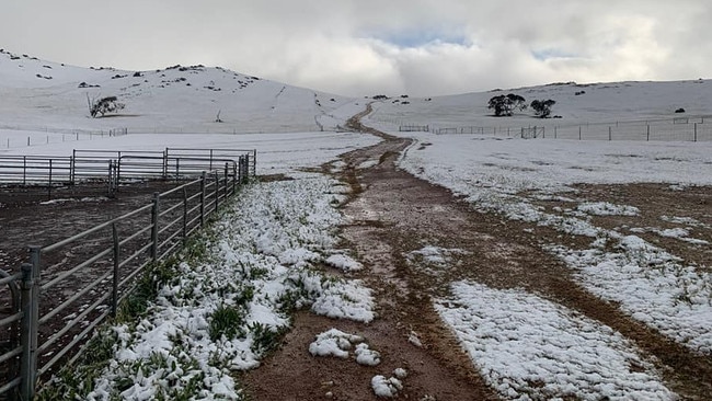 Snow/hail photos from Collinsville. Picture: Collinsville Stud Merinos