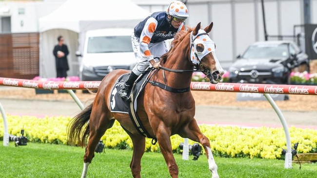 Just Folk is staying at home on Saturday to run in the Cranbourne Cup. Picture: Getty Images.