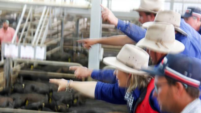 The Corcoran Parker selling team calls for bids at Wangaratta on January 5. Picture: Jenny Kelly