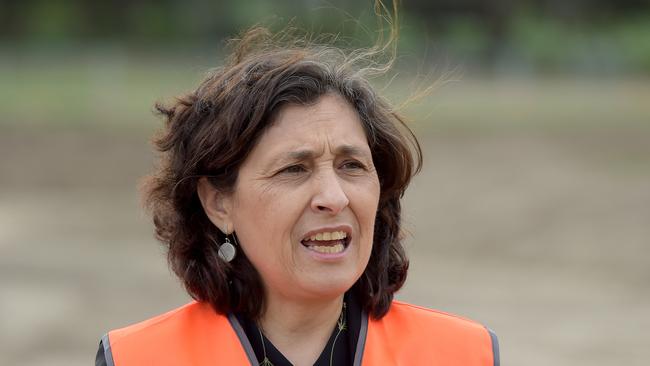 Minister for Energy, Environment and Climate Change Lily D'Ambrosio.