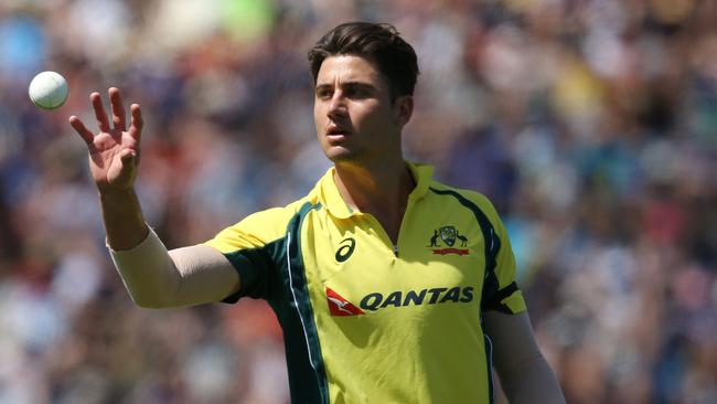 Marcus Stoinis is in contention to replace the injured Mitchell Marsh.