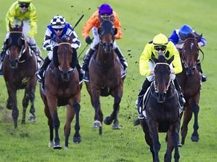 RANDWICK RACES